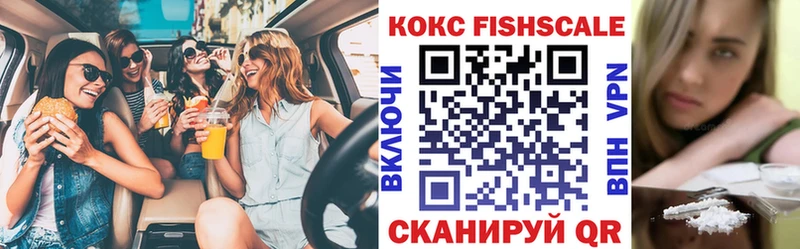 Купить где  Новокубанск  COCAIN FishScale 