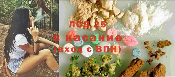 PSILOCYBIN Заволжск