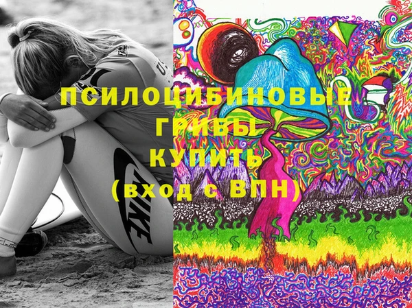 PSILOCYBIN Заволжск