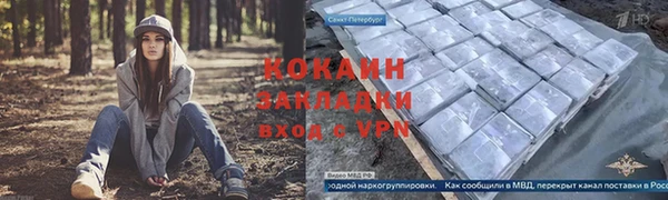 PSILOCYBIN Заволжск