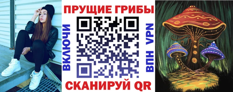 Псилоцибиновые грибы Magic Shrooms  Купить где  Новокубанск 